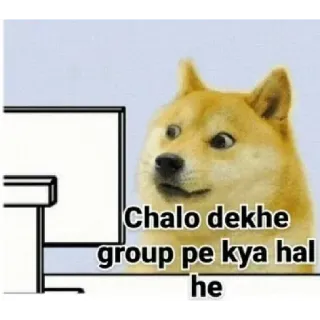 🧐 Doge Doge meme Chalo dekhe group pe kya hal he telegram sticker