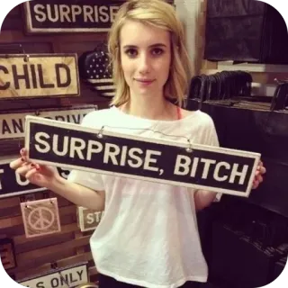 🫥 SURPRISE, BITCH surprise, offensant, humour, panneau, salope telegram sticker