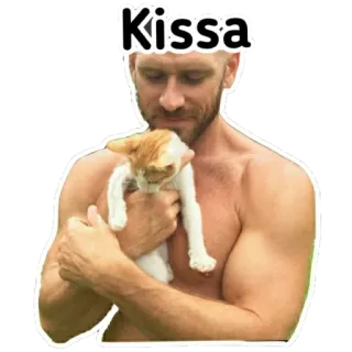 😘 Johnny Sins Kissa ผู้ชาย, แมว, มีกล้าม, สัตว์เลี้ยง, สัตว์ telegram sticker