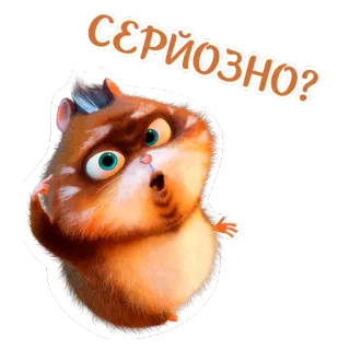 🙄 СЕРЬЕЗНО? chomik, zwierzę, kreskówka, słodki, zaskoczony, pytanie telegram sticker