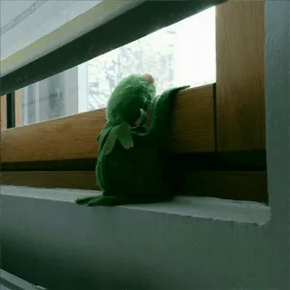 🤨 Kermit the Frog kermit, rana, burattino, finestra, malinconia, verde whatsapp sticker