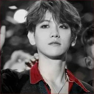 💮 K팝, 아이돌, 가수, 아티스트, 인물사진, 연예인, 음악 telegram sticker