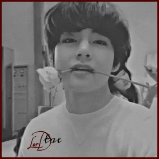 🥀 LorTae personne, fleur, rose, portrait, chanteur telegram sticker