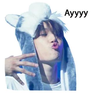 🐺 Ayyyy persona, sudadera con capucha, lindo, beso, pose whatsapp sticker