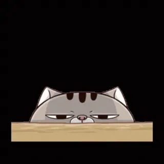 😑 mèo, nhìn trộm, động vật, thú cưng, phim hoạt hình, dễ thương whatsapp sticker