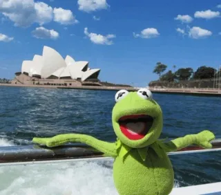 😇 Kermit Kermit the Frog, Muppets, Sydney Opera House, travel, cartoon, frog, green telegram sticker