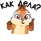 😏 동물, 만화, 다람쥐, 제스처, 불쾌한, 가운데 손가락 telegram sticker