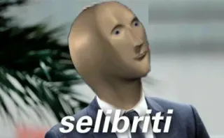 ✨ selibriti mème, stonks, humour, internet, célébrité whatsapp sticker