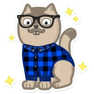 ✨ kat, hipster, bril, snor, ruitjeshemd, dier, cartoon telegram sticker