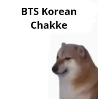 🌟 BTS Korean Chakke Hund, Meme, Anstößig, Tier whatsapp sticker