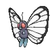 🦋