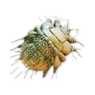 💗 virus, microbe, science, biology, microscopic telegram sticker