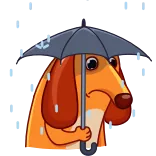 ☔️