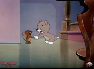 🌃 Jerry, Tom Tom and Jerry cartoon, vriendschap, animatie, kat, muis whatsapp sticker