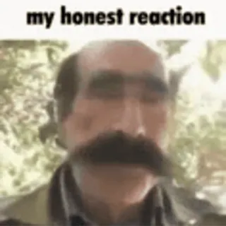 🥵 my honest reaction Meme, Reacción honesta, Divertido, Retrato, Hombre telegram sticker