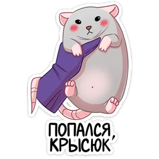 🐁 ПОПАЛСЯ, КРЫСЮК Ratte, Maus, Tier, süß, Cartoon telegram sticker