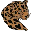 ๐