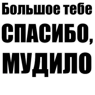 👎 Большое тебе СПАСИБО! МУДИЛО russian, thank you, offensive, insult, curse word telegram sticker