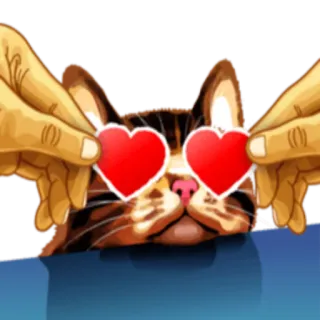 😍 кот, сердце, любовь, животное, стикер whatsapp sticker