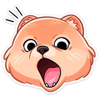 😱 gấu, hoạt hình, sốc, ngạc nhiên, động vật, biểu cảm, dễ thương telegram sticker