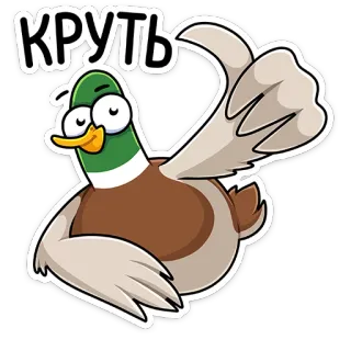 👍 КРУТЬ pato, desenho animado, animal, pássaro telegram sticker