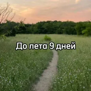☀️ До лета 9 дней verano, naturaleza, cuenta atrás, días, campo, sendero, paisaje telegram sticker