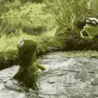 🐸 Kermit 青蛙, 科米蛙, 布偶, 表情包 whatsapp sticker