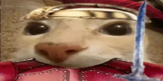 🗡 Katze, Rüstung, Helm, Schwert, Krieger, lustig, Meme telegram sticker