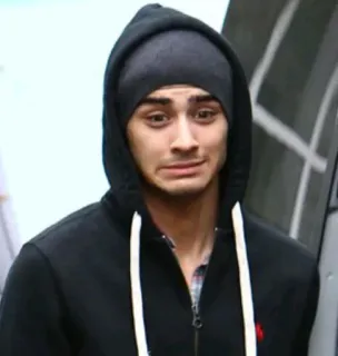 🥥 Zayn Malik 泽恩·马利克, 歌手, 肖像, 名人, 连帽衫, 流行歌星 telegram sticker