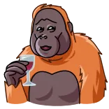 🧐 orangutan, kera, hewan, gelas anggur, anggur, minum, lucu whatsapp sticker