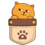 🐈