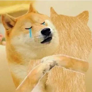 😈 Doge doge, pies, mem, przytulanie, płacz, pocieszenie, smutny telegram sticker