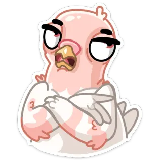 😒 burung, merpati, sikap, kartun, hewan telegram sticker