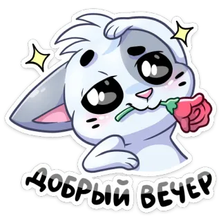 👋 Добрый вечер królik, kwiat, słodkie, powitanie, dobry wieczór whatsapp sticker
