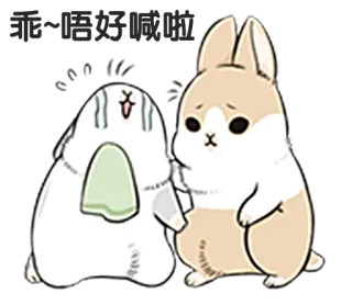 😢 乖~唔好掂啦 królik, słodki, zwierzę, kawaii, naklejka, zajączek telegram sticker