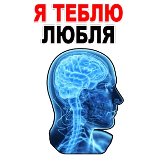 😍 Я ТЕБЛЮ
ЛЮБЛЯ russian, slang, brain, anatomy, insult, offensive telegram sticker