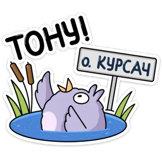 🏊‍♀️ ТОНУ! о. КУРСАЧ мультфильм, животное, вода, птица, средний палец, оскорбительный, ругательства whatsapp sticker