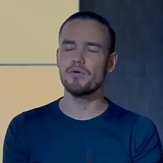 ✨ Liam Payne person, singer, celebrity, male telegram sticker