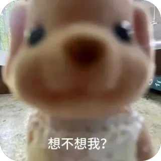 😎 想不想我? 개, 장난감, 귀여운, 질문, 동물 telegram sticker