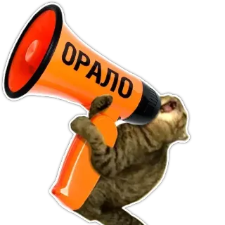 📢 ОРАЛО whatsapp sticker