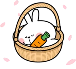 😴 lapin, lapinou, carotte, mignon, panier, dormir, kawaii telegram sticker