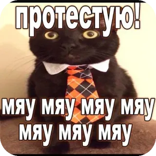 🐱 протестую! мяу мяу мяу мяу мяу мяу мяу мяу 猫, 表情包, 抗议, 动物, 领带, 俄语 whatsapp sticker