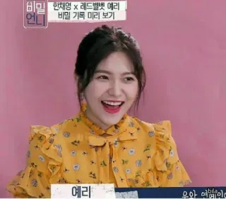 ✨ Yeri 비밀 언니 mujer, sonriendo, coreana, televisión, entretenimiento telegram sticker