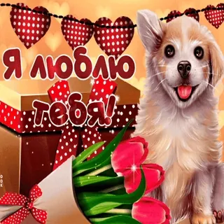 ❤️ Я ЛЮБЛЮ ТЕБЯ! whatsapp sticker