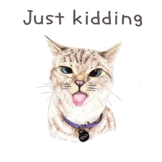 😛 BALL 고양이, 동물, 애완동물, 귀여운, 혀, 목걸이 telegram sticker