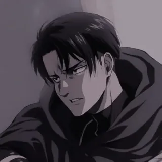 🤨 Levi Ackerman Attack on Titan Anime, Attack on Titan, Levi, Levi Ackerman, Charakter, Manga telegram sticker