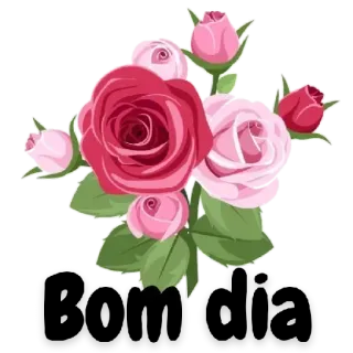 🙏 rosen, blumen, strauß, rosa, rot, floral, natur, garten whatsapp sticker