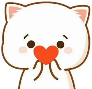 ❤️ słodkie, kot, serce, miłość, kreskówka whatsapp sticker