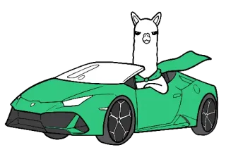 🏎 лама, машина, вождение, спорткар, мультфильм, альпака whatsapp sticker