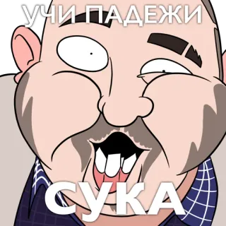 🎃 учи падежи
СУКА русский, оскорбление, текст, мультфильм, персонаж telegram sticker